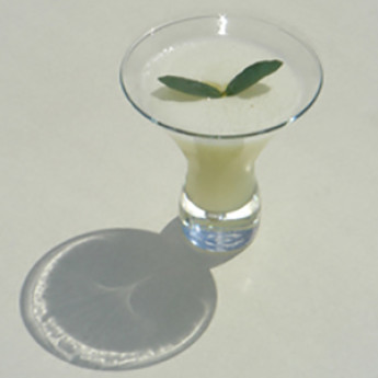 коктейль с приятным ароматом Эвкалиптовый мартини (Eucalyptus Martini cocktail)